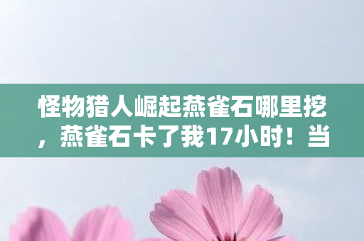 怪物猎人崛起燕雀石哪里挖,燕雀石卡了我17小时!当全服98%玩家卡在熔岩洞时,我摸到了卡普空的隐藏刀法 怪物猎人崛起燕雀石哪里挖,燕雀石卡了我17小时!当全服98%玩家卡在熔岩洞时,我摸到了卡普空的隐藏刀法