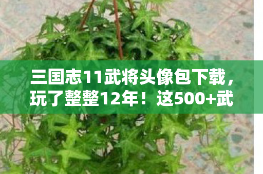 三国志11武将头像包下载,玩了整整12年!这500+武将头像包,选经典还是新潮真让人纠结! 三国志11武将头像包下载,玩了整整12年!这500+武将头像包,选经典还是新潮真让人纠结!