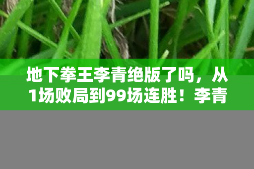 地下拳王李青绝版了吗，从1场败局到99场连胜！李青的地下拳坛逆袭藏着什么惊天秘密？