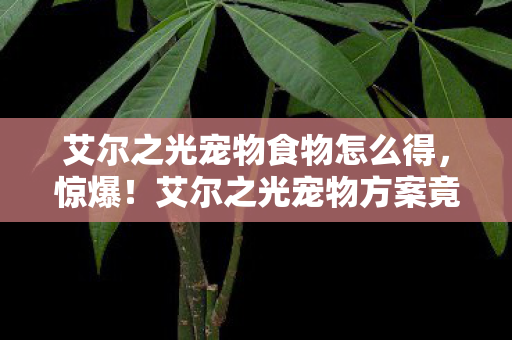 艾尔之光宠物食物怎么得，惊爆！艾尔之光宠物方案竟藏500万隐情，离职老兵拍桌，这操作吓我一跳！