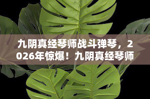 九阴真经琴师战斗弹琴，2026年惊爆！九阴真经琴师竟藏惊天秘密，真相令人颤抖！