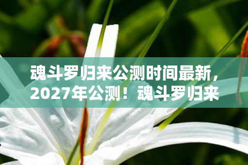 魂斗罗归来公测时间最新，2027年公测！魂斗罗归来用34年IP冷启动，唤醒80后钱包的集体暴动