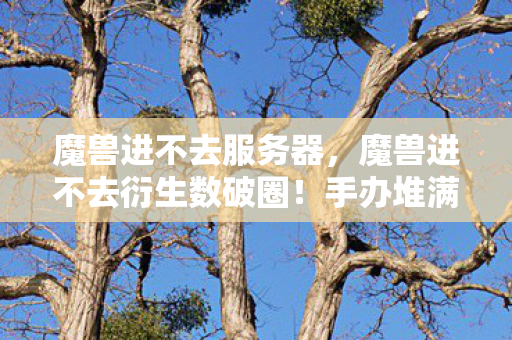 魔兽进不去服务器,魔兽进不去衍生数破圈!手办堆满屋,冰箱空如野的意想不到生活 魔兽进不去服务器,魔兽进不去衍生数破圈!手办堆满屋,冰箱空如野的意想不到生活