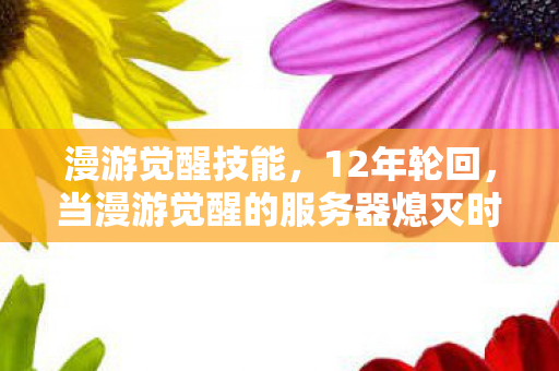 漫游觉醒技能,12年轮回,当漫游觉醒的服务器熄灭时,谁在等那封未寄出的信?泪目 漫游觉醒技能,12年轮回,当漫游觉醒的服务器熄灭时,谁在等那封未寄出的信?泪目