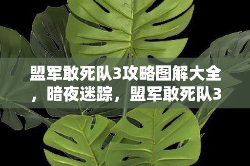 盟军敢死队3攻略图解大全,暗夜迷踪,盟军敢死队3隐藏线索揭悬案,毛骨悚然真相待解 盟军敢死队3攻略图解大全,暗夜迷踪,盟军敢死队3隐藏线索揭悬案,毛骨悚然真相待解