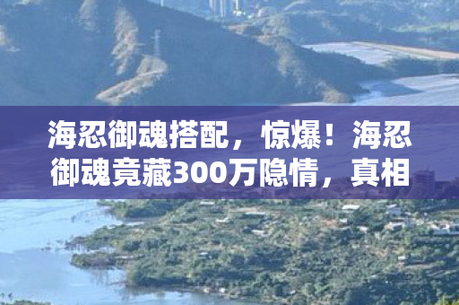 海忍御魂搭配，惊爆！海忍御魂竟藏300万隐情，真相曝光让人吓一跳！