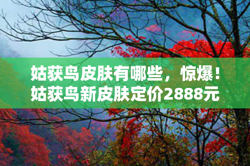 姑获鸟皮肤有哪些，惊爆！姑获鸟新皮肤定价2888元背后，竟藏着让策划吓一跳的隐情！