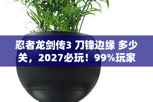 忍者龙剑传3 刀锋边缘 多少关，2027必玩！99%玩家没解锁的3大隐藏机制，刀锋边缘终极体验心得