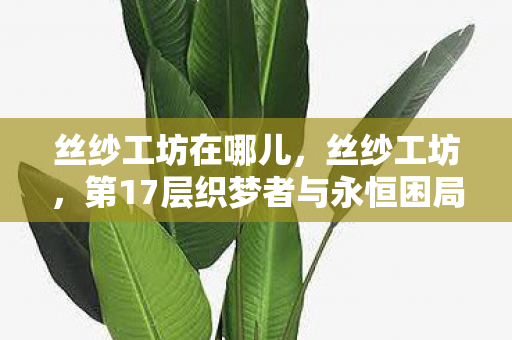 丝纱工坊在哪儿,丝纱工坊,第17层织梦者与永恒困局的灵魂震颤 丝纱工坊在哪儿,丝纱工坊,第17层织梦者与永恒困局的灵魂震颤
