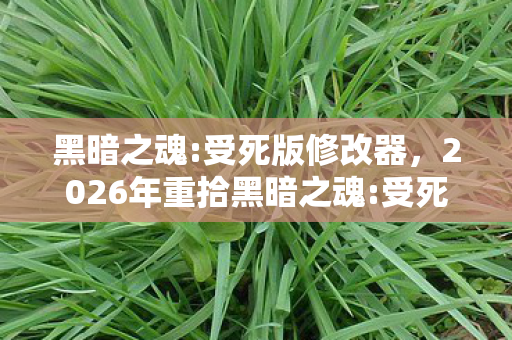 黑暗之魂:受死版修改器，2026年重拾黑暗之魂:受死版，伏笔成真，鼻子一酸忆往昔