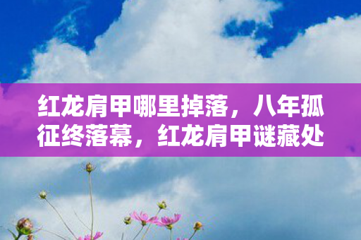 红龙肩甲哪里掉落，八年孤征终落幕，红龙肩甲谜藏处，泪目竟成绝响时