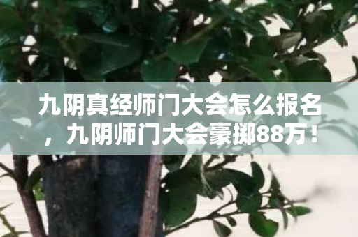 九阴真经师门大会怎么报名，九阴师门大会豪掷88万！离婚协议藏隐情，妻子这一招让我吓一跳！