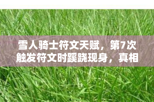雪人骑士符文天赋，第7次触发符文时蹊跷现身，真相揭晓瞬间后背发凉！