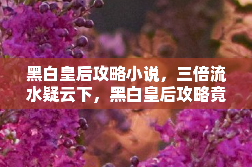 黑白皇后攻略小说，三倍流水疑云下，黑白皇后攻略竟成资本棋局？真相令人心寒