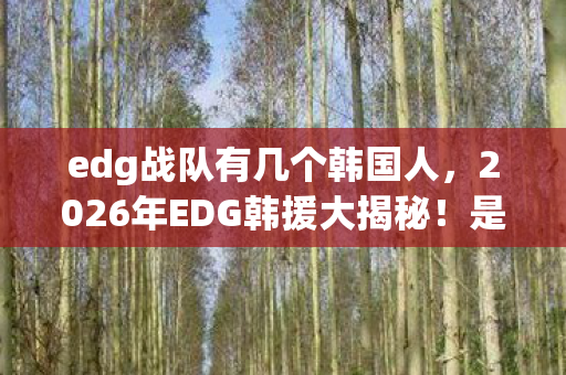 edg战队有几个韩国人，2026年EDG韩援大揭秘！是全员本土化还是暗藏王炸？