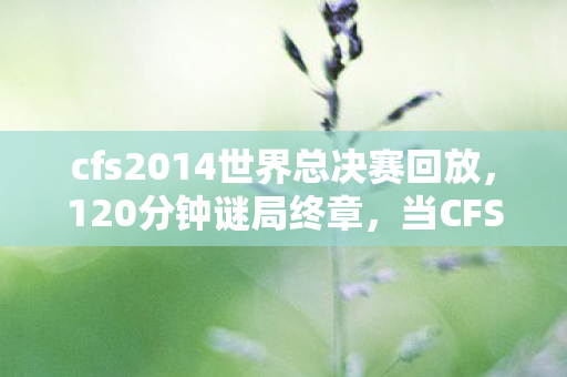 cfs2014世界总决赛回放，120分钟谜局终章，当CFS冠军捧杯时，我听见服务器在哭