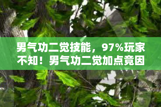 男气功二觉技能，97%玩家不知！男气功二觉加点竟因平台不同差出30%伤害？