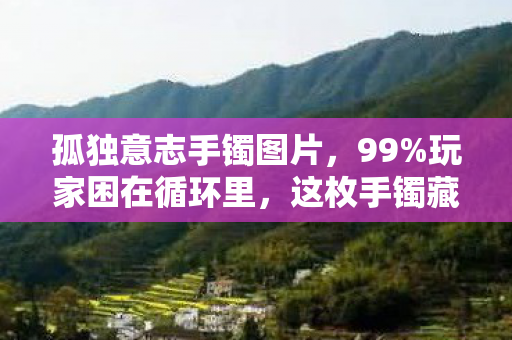 孤独意志手镯图片，99%玩家困在循环里，这枚手镯藏着1%的觉醒密码，扎心真相！