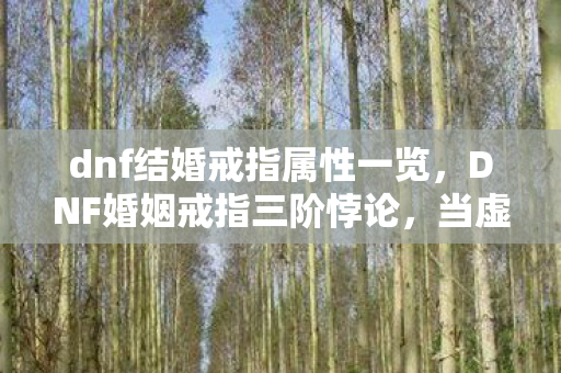 dnf结婚戒指属性一览，DNF婚姻戒指三阶悖论，当虚拟永恒撞碎中年灵魂的震颤时刻
