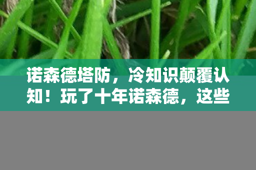 诺森德塔防，冷知识颠覆认知！玩了十年诺森德，这些操作让我目瞪口呆