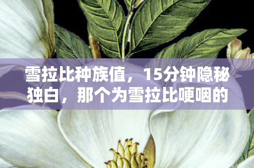 雪拉比种族值，15分钟隐秘独白，那个为雪拉比哽咽的通宵，如今只剩登录界面在呼吸