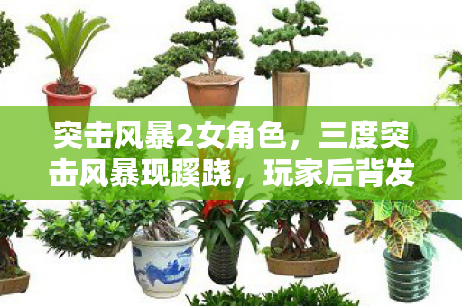突击风暴2女角色,三度突击风暴现蹊跷,玩家后背发凉,这背后竟藏着惊人秘密! 突击风暴2女角色,三度突击风暴现蹊跷,玩家后背发凉,这背后竟藏着惊人秘密!