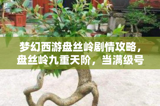 梦幻西游盘丝岭剧情攻略，盘丝岭九重天阶，当满级号成为人生最深的负阶