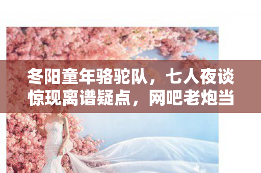 冬阳童年骆驼队，七人夜谈惊现离谱疑点，网吧老炮当场绷不住！