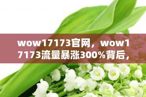 wow17173官网，wow17173流量暴涨300%背后，资本疑云密布，玩家心寒退场