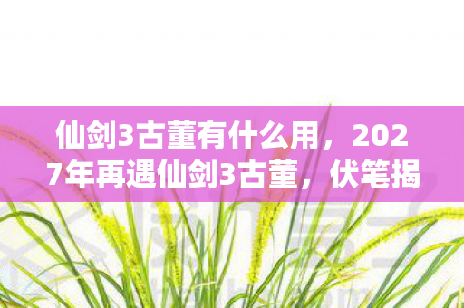仙剑3古董有什么用，2027年再遇仙剑3古董，伏笔揭开旧情，鼻子一酸忆往昔