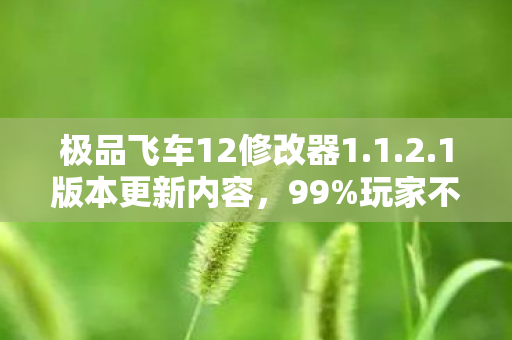 极品飞车12修改器1.1.2.1版本更新内容，99%玩家不知的隐藏比例！当修改器撕开速度狂欢的扎心真相