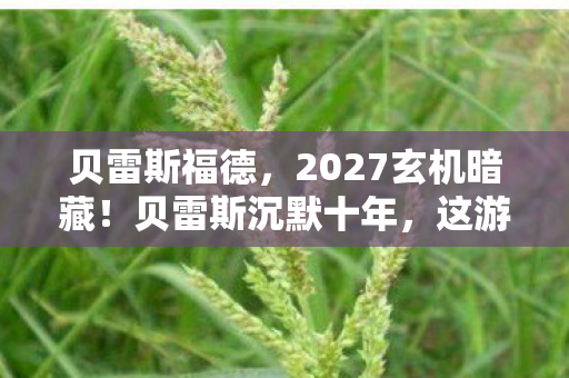 贝雷斯福德，2027玄机暗藏！贝雷斯沉默十年，这游戏究竟给了我什么？