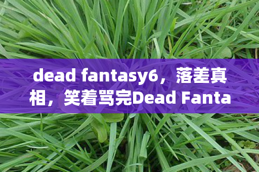 dead fantasy6，落差真相，笑着骂完Dead Fantasy，笑着笑着却哭了自己