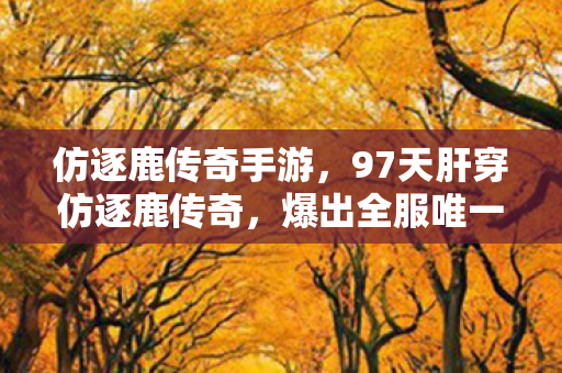 仿逐鹿传奇手游,97天肝穿仿逐鹿传奇,爆出全服唯一神装那刻,我删号了 仿逐鹿传奇手游,97天肝穿仿逐鹿传奇,爆出全服唯一神装那刻,我删号了