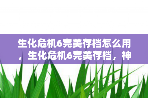 生化危机6完美存档怎么用，生化危机6完美存档，神秘线索引悬案，毛骨悚然真相待揭