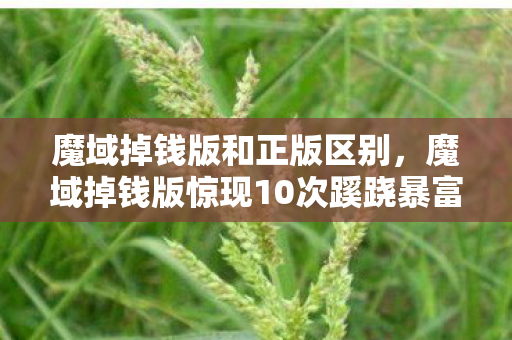魔域掉钱版和正版区别，魔域掉钱版惊现10次蹊跷暴富！真相揭晓后背发凉