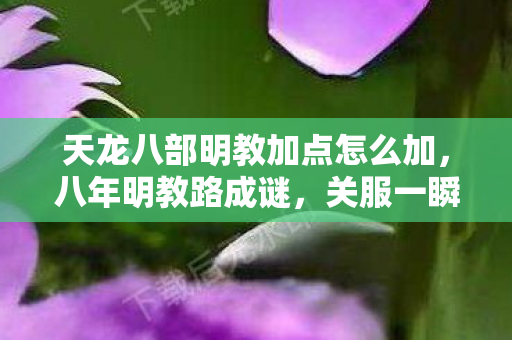 天龙八部明教加点怎么加，八年明教路成谜，关服一瞬泪目空留影