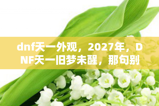 dnf天一外观,2027年,DNF天一旧梦未醒,那句别走让我鼻子一酸 dnf天一外观,2027年,DNF天一旧梦未醒,那句别走让我鼻子一酸