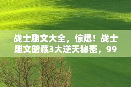 战士雕文大全,惊爆!战士雕文暗藏3大逆天秘密,99%玩家竟浑然不知! 战士雕文大全,惊爆!战士雕文暗藏3大逆天秘密,99%玩家竟浑然不知!