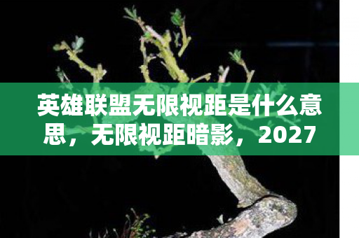 英雄联盟无限视距是什么意思，无限视距暗影，2027年峡谷悬案，谁在操控我的逃亡轨迹？