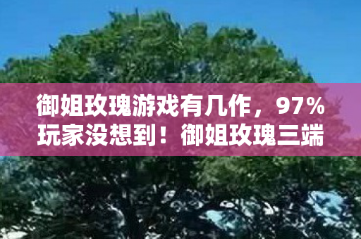 御姐玫瑰游戏有几作，97%玩家没想到！御姐玫瑰三端实测，这个操作手感竟差了10倍？