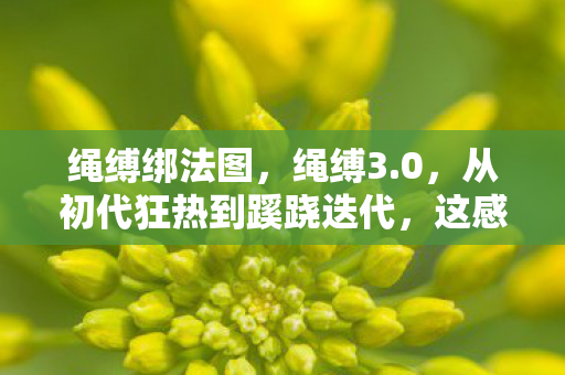 绳缚绑法图，绳缚3.0，从初代狂热到蹊跷迭代，这感慨谁能懂！