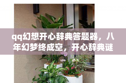 qq幻想开心辞典答题器，八年幻梦终成空，开心辞典谜题锁，泪目关服谁与共？