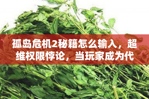 孤岛危机2秘籍怎么输入，超维权限悖论，当玩家成为代码的囚徒，自由意志在二进制中震颤
