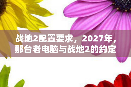 战地2配置要求，2027年，那台老电脑与战地2的约定，鼻子一酸想起你已不在