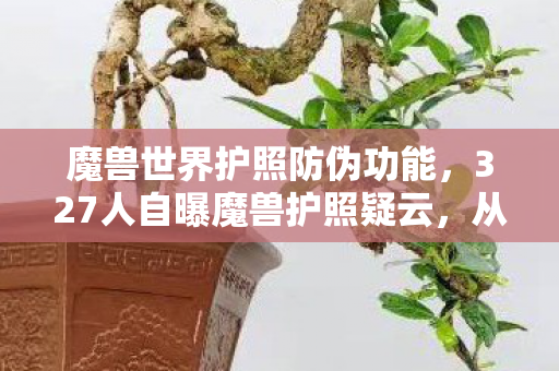 魔兽世界护照防伪功能，327人自曝魔兽护照疑云，从萌新到退坑佬，这波操作我直接绷不住！