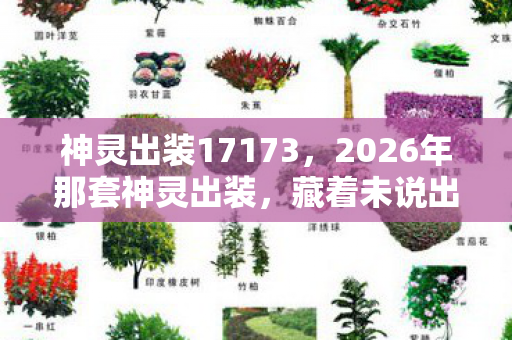 神灵出装17173，2026年那套神灵出装，藏着未说出口的约定，如今想起鼻子一酸