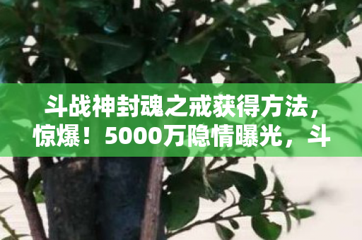 斗战神封魂之戒获得方法，惊爆！5000万隐情曝光，斗战神封魂之戒获取竟藏着吓一跳内幕！