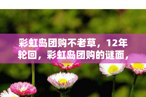 彩虹岛团购不老草，12年轮回，彩虹岛团购的谜面，为何让百万玩家泪目？