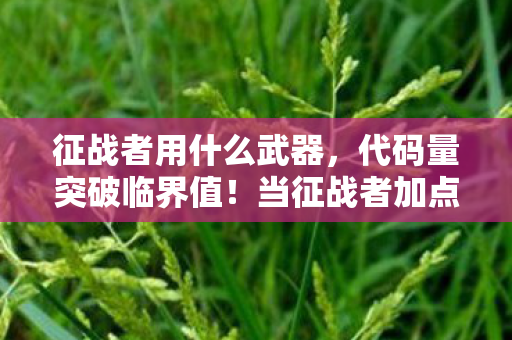 征战者用什么武器，代码量突破临界值！当征战者加点暗线触发时，我的神经突触开始头皮发麻